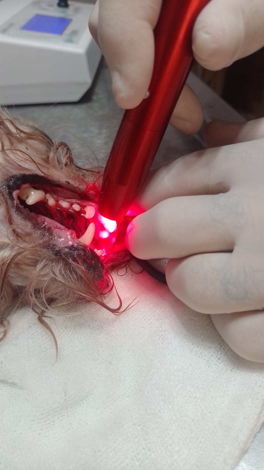 foto_cuidados_dentarios