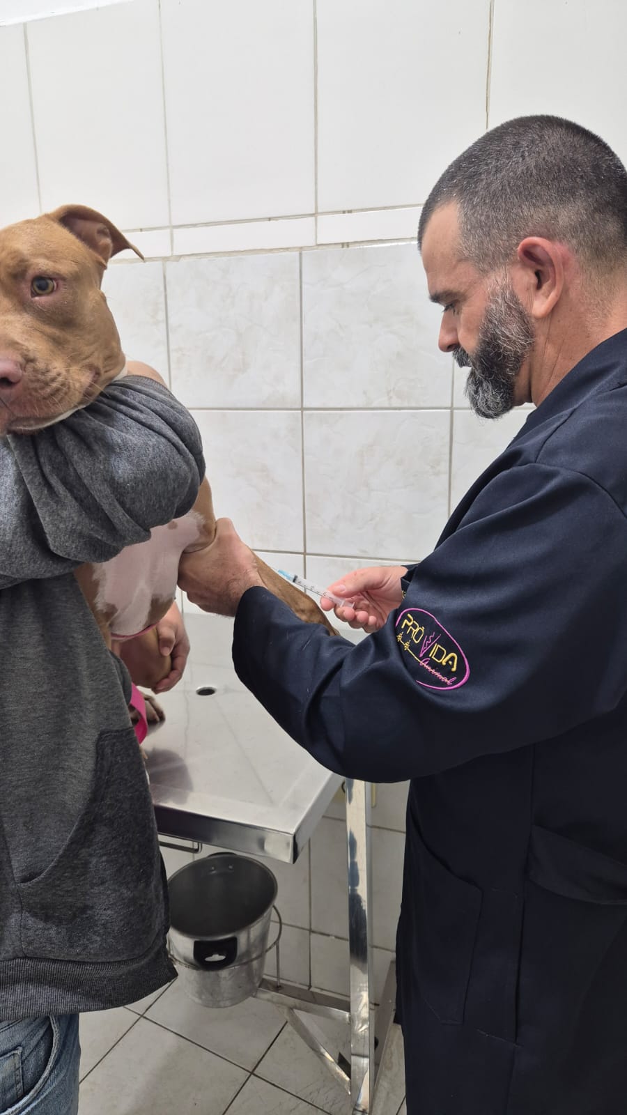 foto_exames_de_rotina